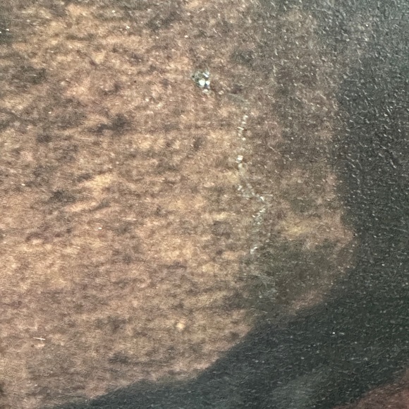 Jesus Christ on red robe on thick dark frame - Picture 6 of 6